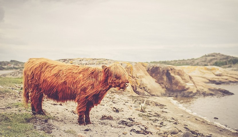 在线短信轰炸测试