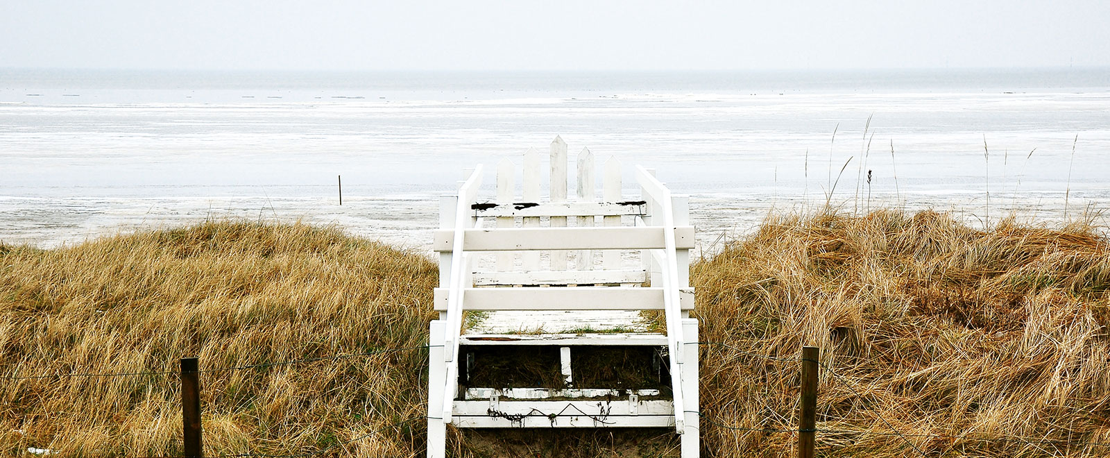 智能降噪处理的在线网页使用电话轰炸机