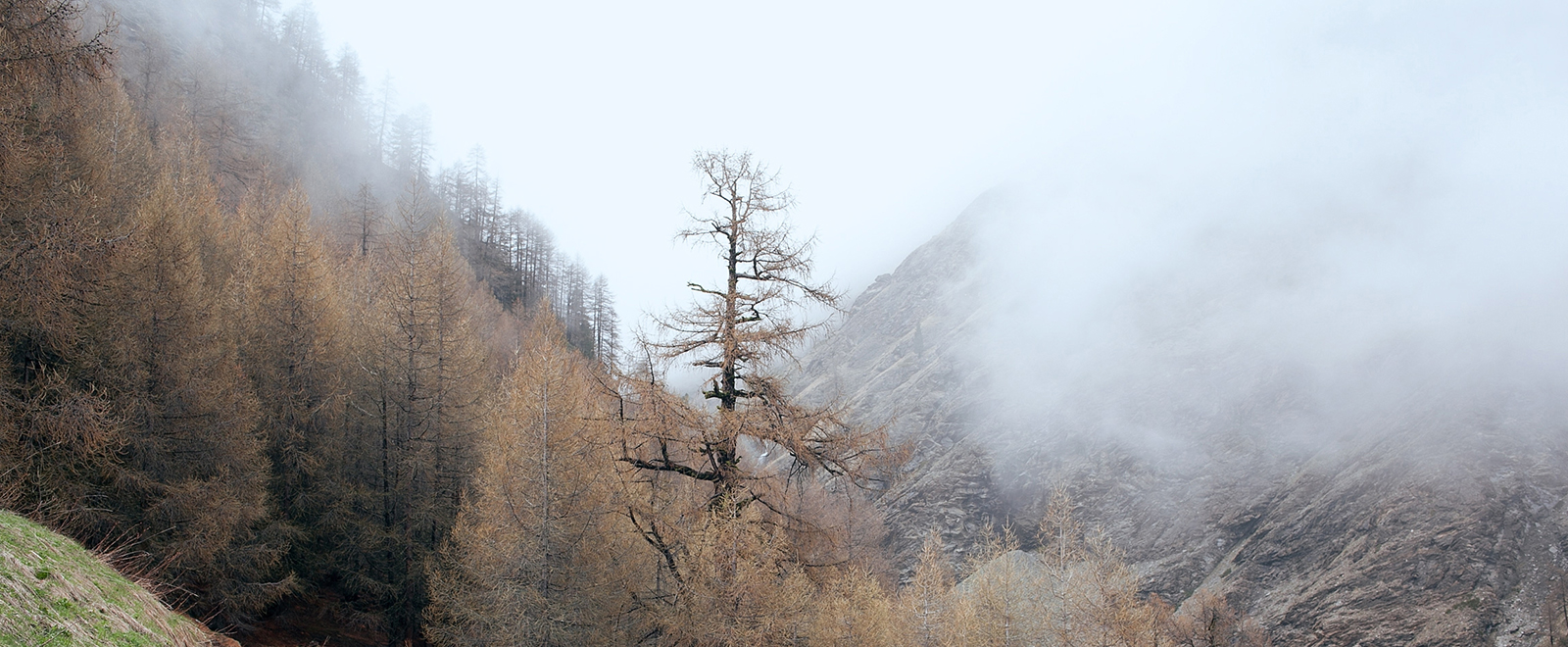 在线手机号轰炸