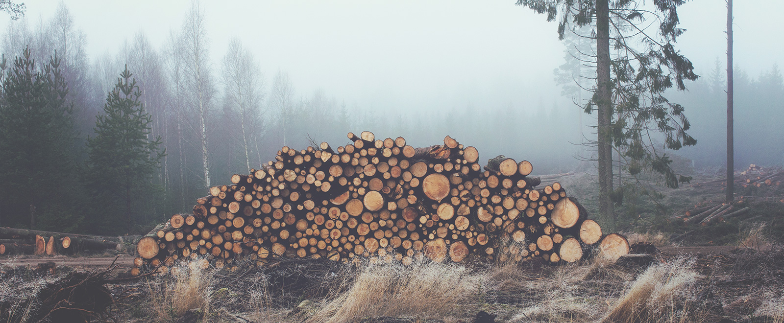 自动发码平台的免费电话短信轰炸机